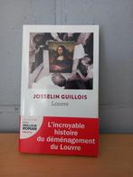Louvre de Josselin Guillois, Livres, Comme neuf, Enlèvement ou Envoi