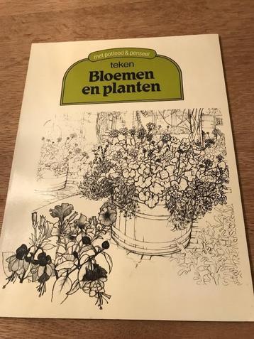 Teken bloemen en planten met potlood & penseel/Mary Seymour beschikbaar voor biedingen