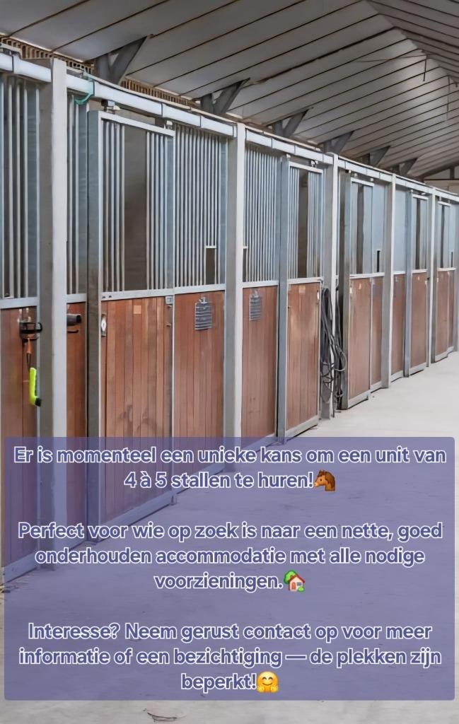 Pensionstalling bij Tilburg (Hulten, NB), Dieren en Toebehoren, Stalling en Weidegang, Stalling, 4 paarden of pony's of meer