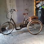 Elektrische Tribike, Fietsen en Brommers, Ophalen, Gebruikt, Overige merken