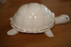 porseleinen schildpad, Ophalen of Verzenden