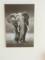 Kader olifant, Huis en Inrichting, Woonaccessoires | Schilderijen, Tekeningen en Foto's, Ophalen of Verzenden, Zo goed als nieuw