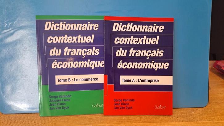 Dictionnaire contextuel du français économique, Boeken, Woordenboeken, Zo goed als nieuw, Ophalen