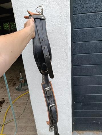 Compleet mentuig beschikbaar voor biedingen
