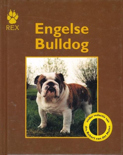 (d44) Engelse Bulldog, Boeken, Dieren en Huisdieren, Gelezen, Verzenden