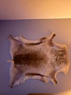 Rendierhuid - wanddecoratie of tapijt, Huis en Inrichting, Stoffering | Tapijten en Vloerkleden, Ophalen, Zo goed als nieuw, Crème