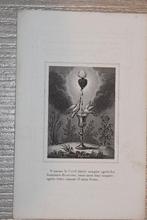 Doodsprentje Jongedochter Marie Anne Amé. +Kortrijk 1848, Enlèvement ou Envoi, Carte de condoléances