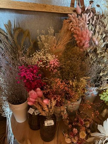 Droogbloemen beschikbaar voor biedingen
