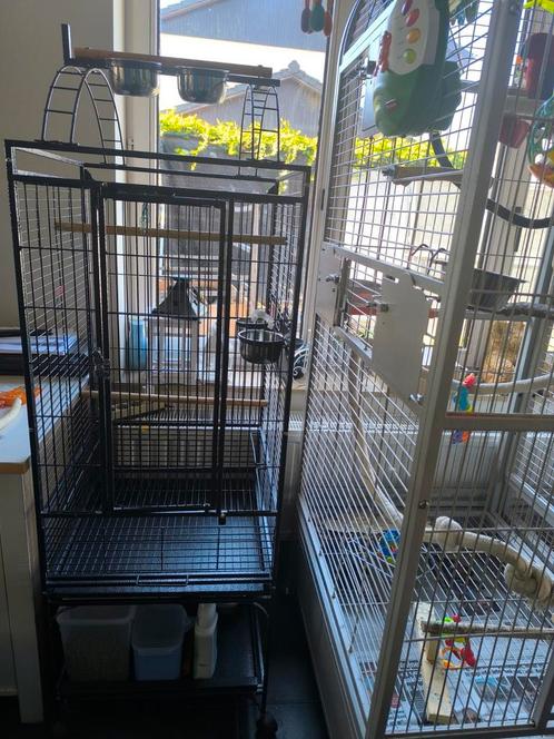 Vogelkooi papegaaien kooi, Dieren en Toebehoren, Vogels | Hokken en Kooien, Zo goed als nieuw, Vogelkooi, Ophalen