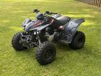 Kymco Maxxer 300 met 4500km, Motoren, Quads en Trikes