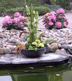 Massief glazen schalen- keuze uit  5 verschillende