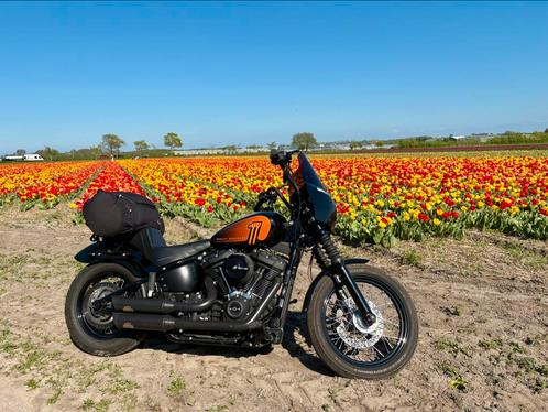 Streetbob 114 fxbbs 2021, Motoren, Motoren | Harley-Davidson, Particulier, Chopper, meer dan 35 kW, 2 cilinders, Ophalen