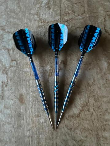 Gerwyn Price Dartspijlen