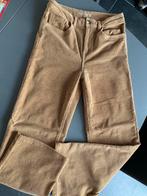 Fluwelen broek, Kleding | Dames, Ophalen of Verzenden, Zo goed als nieuw, Maat 38/40 (M)