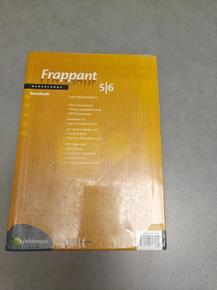 Frappant Nederlands 5I6 - basisboek - zeer goede staat, Boeken, Schoolboeken, Zo goed als nieuw, Nederlands, Ophalen of Verzenden