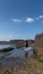 Training op maat voor jouw paard, Dieren en Toebehoren, Paarden, Zadelmak