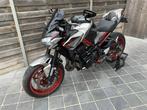 kawasaki z900 4/2024 **3600km**performance kit**akrapovic**, ABS, 4 cilinders, 948 cc, Bedrijf