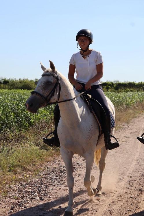 Lieve merrie 8 jaar, Dieren en Toebehoren, Paarden, Merrie, Minder dan 160 cm