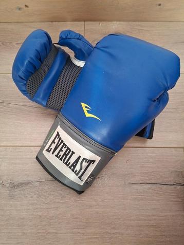 Bokshandschoenen Everlast 14oz beschikbaar voor biedingen