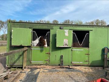 Te koop, stalcontainer, 2 of 3 paarden of pony's