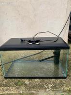 Tom & Co aquarium van 18 liter, Dieren en Toebehoren, Ophalen