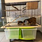 Kooi knaagdier, Dieren en Toebehoren, Ophalen, Kooi, Gebruikt, 60 tot 90 cm