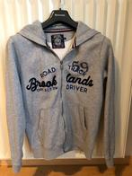Hoody Riverwood Grijs 16j, Kinderen en Baby's, Kinderkleding | Maat 176, Jongen of Meisje, Trui of Vest, Ophalen of Verzenden