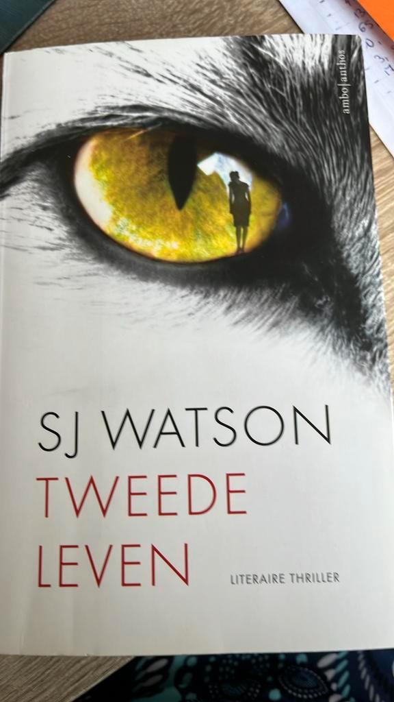 S.J. Watson - Tweede leven, Boeken, Thrillers, Gelezen, Ophalen of Verzenden