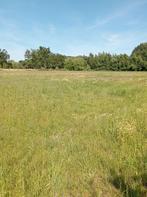 Weide te koop te Boortmeerbeek, Pâturage