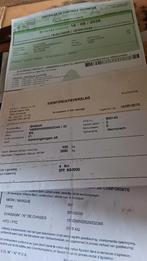 VAN BW 2 chevaux, Enlèvement, Utilisé, Bois, Remorque 2 chevaux