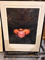 Drie grote posters gesigneerd door fotograaf., Rectangulaire vertical, Avec cadre, A1 jusqu'à A3, Enlèvement