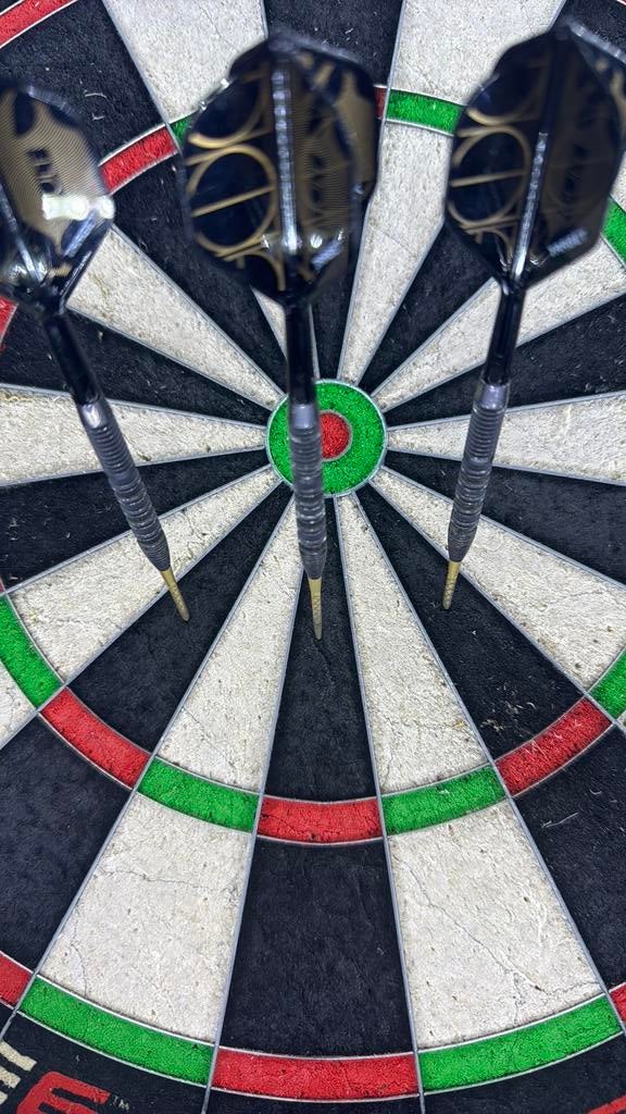 Target bolide void 01, Sport en Fitness, Darts, Ophalen, Gebruikt, Flights