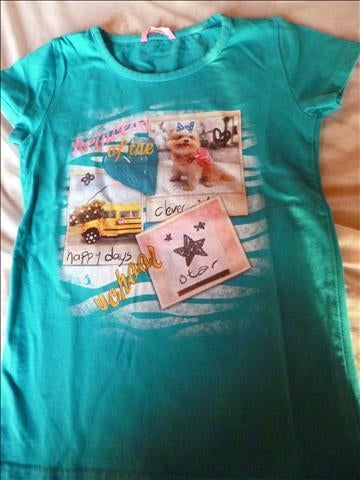 t shirt maat 110 - 116, Kinderen en Baby's, Kinderkleding | Maat 110, Ophalen of Verzenden, Zo goed als nieuw, Meisje, Shirt of Longsleeve