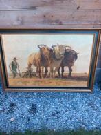 Schilderijen, tekeningen, foto s', Enlèvement