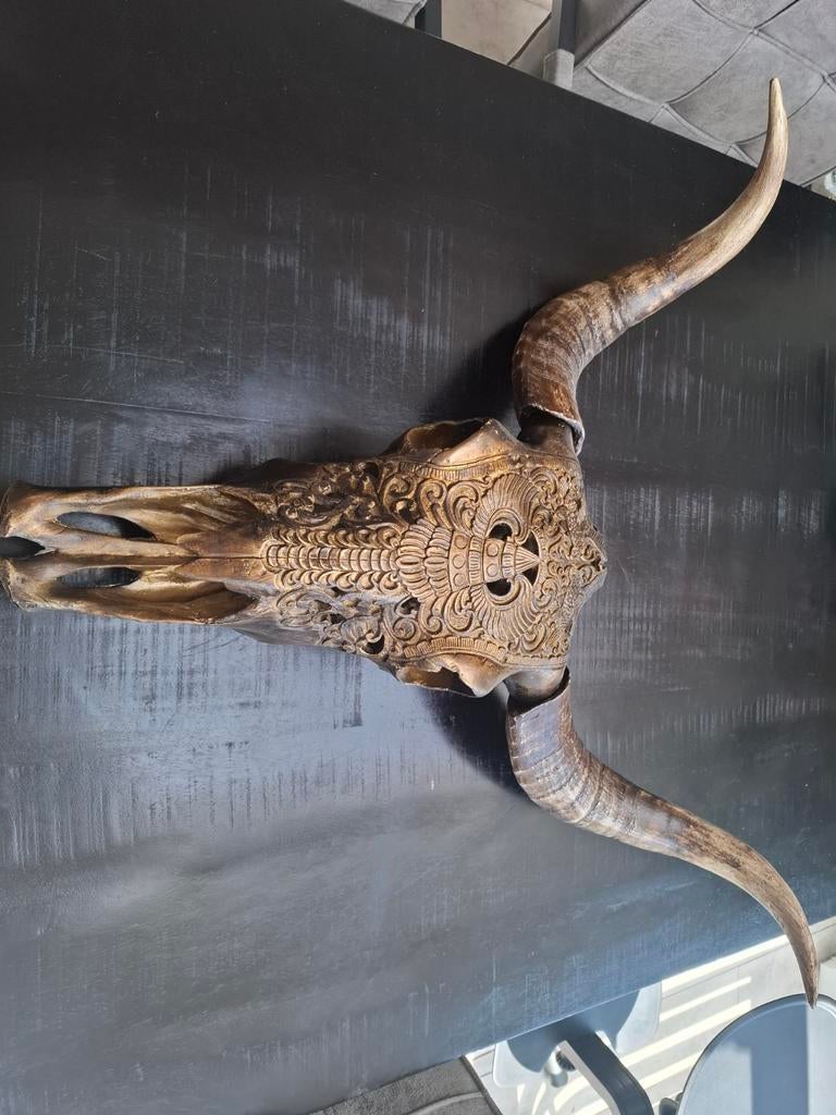 Decoratie dierenhoofd, Ophalen