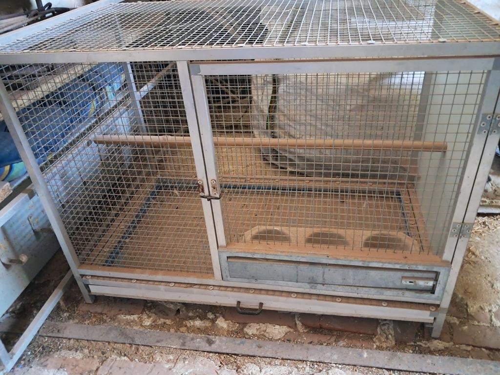 Cage, Animaux & Accessoires, Rongeurs & Lapins | Cages & Clapiers, Enlèvement, Cage