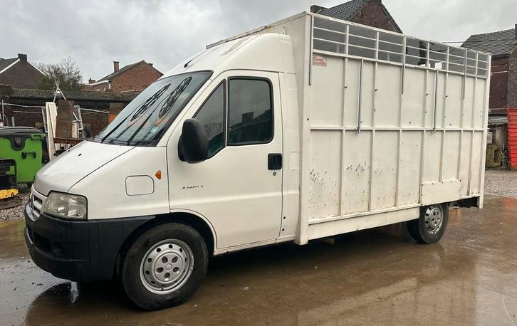 Paardenwagen, Dieren en Toebehoren, Paarden en Pony's | Trailers en Aanhangwagens, Ophalen of Verzenden