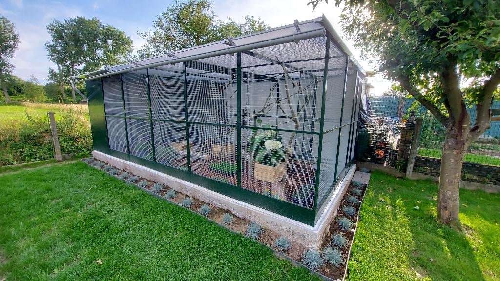 Alu voliere 6 x 3 meter, Animaux & Accessoires, Oiseaux | Cages & Volières, Utilisé, Volière, Aluminium, Enlèvement