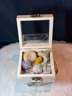 Fossielen doosje met ammoniet, haaientand & woestijnroos, Ophalen of Verzenden, Fossiel