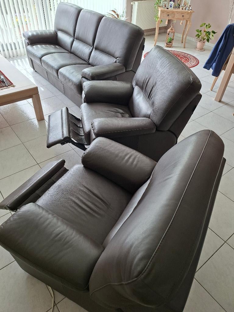 Salon, Ophalen, Gebruikt, Leer, Modern