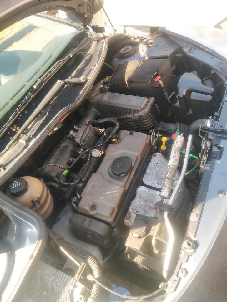 Peugeot 206+, Autos, Peugeot, Particulier, ABS, Airbags, Air conditionné, Alarme, Ordinateur de bord, Verrouillage central, Hayon arrière électrique