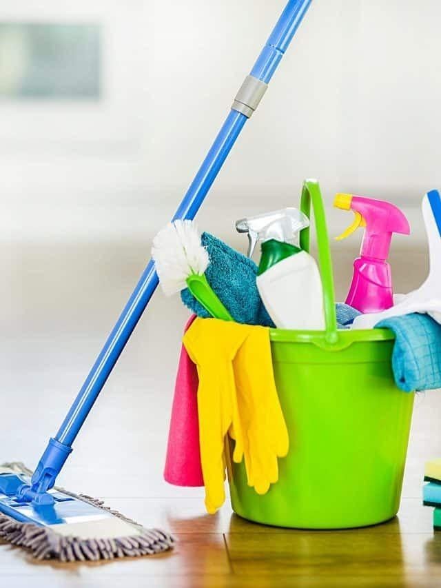 Femme de menage, Offres d'emploi