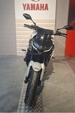 YAMAHA MT-09, Motoren, Motorrijbewijs A, Bedrijf, 3 cilinders, Meer dan 35 kW