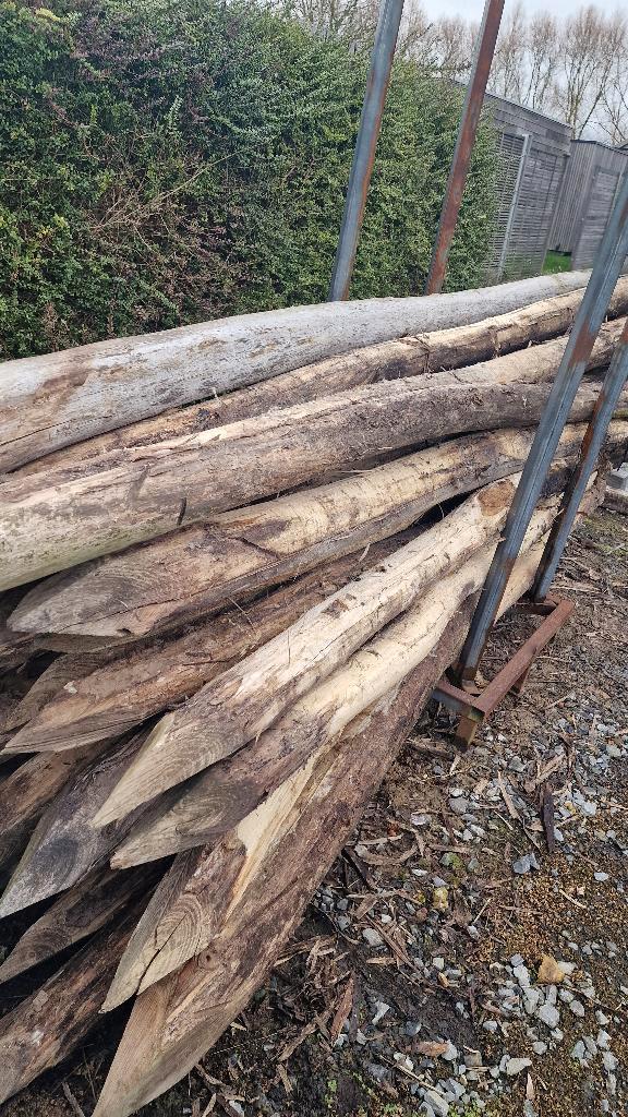 Acacia Tuinpalen 300cm / 12-14, Tuin en Terras, Palen, Balken en Planken, Nieuw, Palen, 250 cm of meer, Ophalen