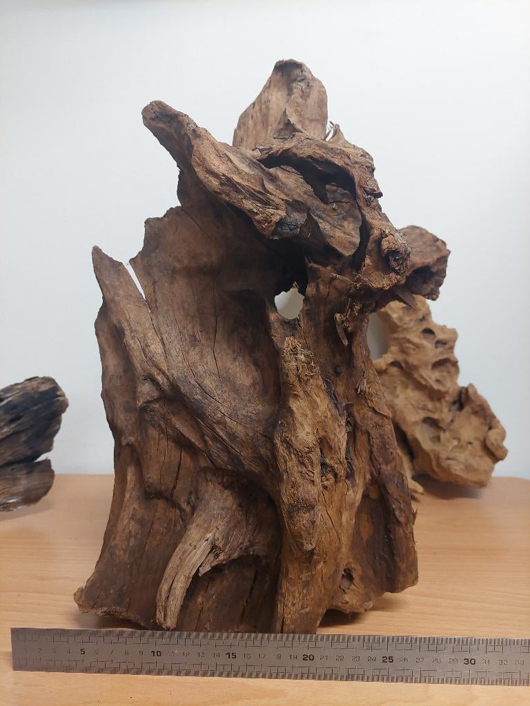 Kienhout, Dieren en Toebehoren, Ophalen, Zo goed als nieuw, Plant(en), Steen of Hout