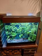 Aquarium 120liter Lido, Ophalen