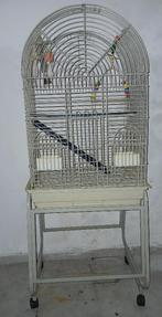 Grande cage pour perroquet avec ses accessoires complets, Animaux & Accessoires, Oiseaux | Cages & Volières, Enlèvement ou Envoi