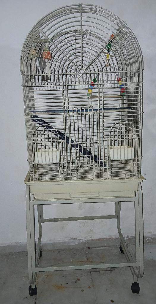 Grote papegaaienkooi met complete accessoires, Dieren en Toebehoren, Vogels | Hokken en Kooien, Ophalen of Verzenden