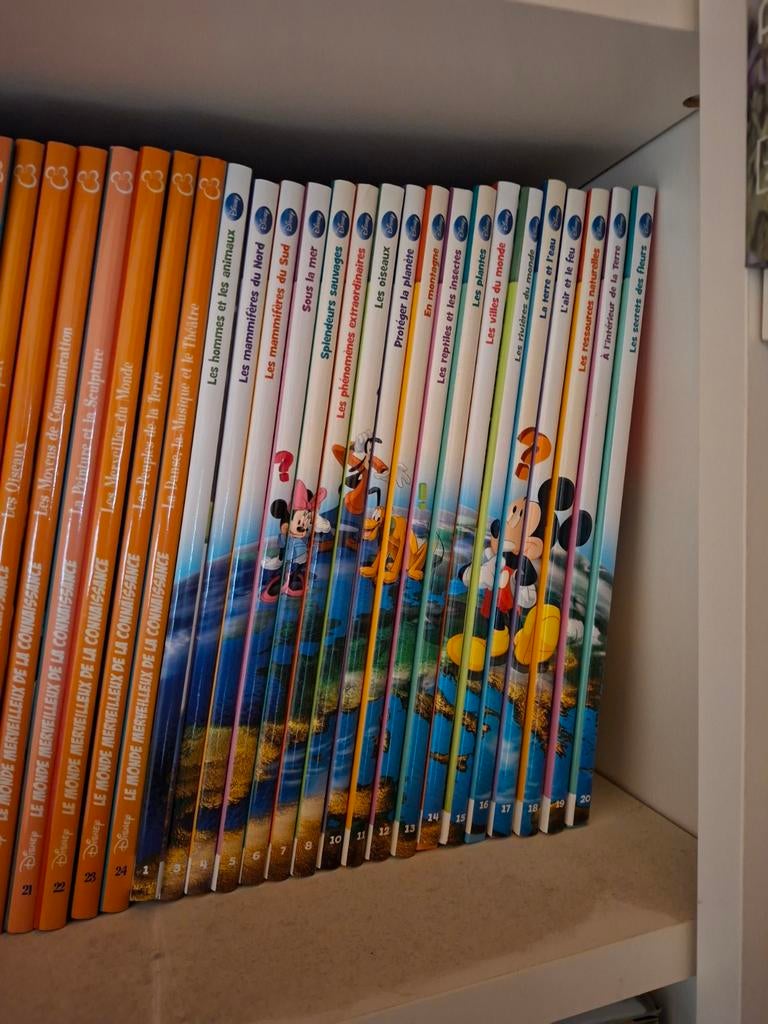 Collection Ma planète en questions et réponses avec Disney, Livres