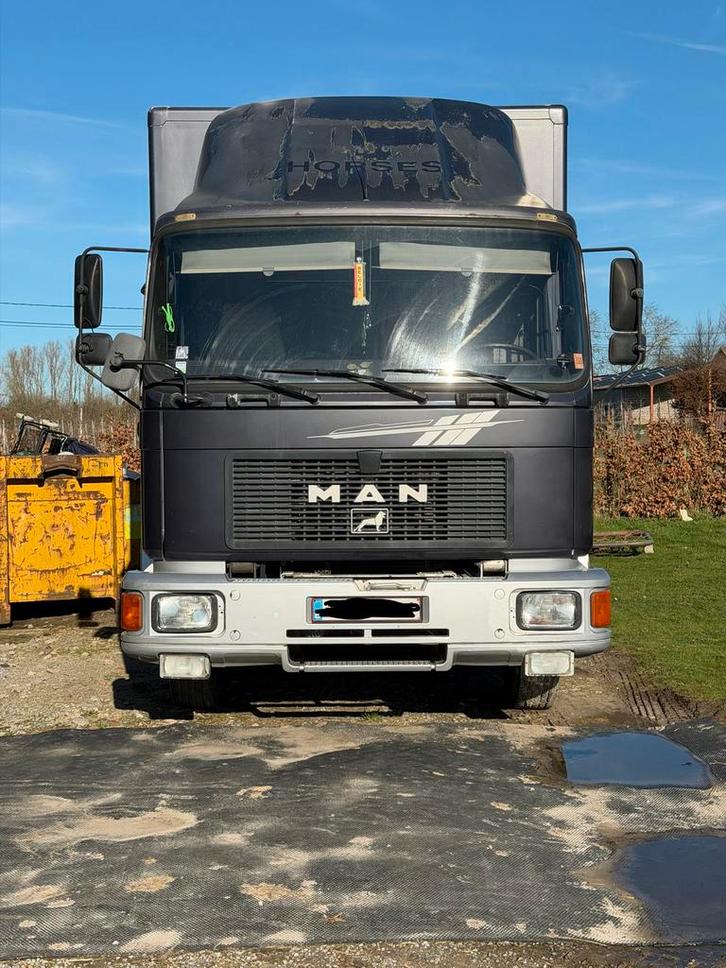MAN paarden camion, Auto's, Vrachtwagens, Particulier, MAN, Diesel, Handgeschakeld, Ophalen